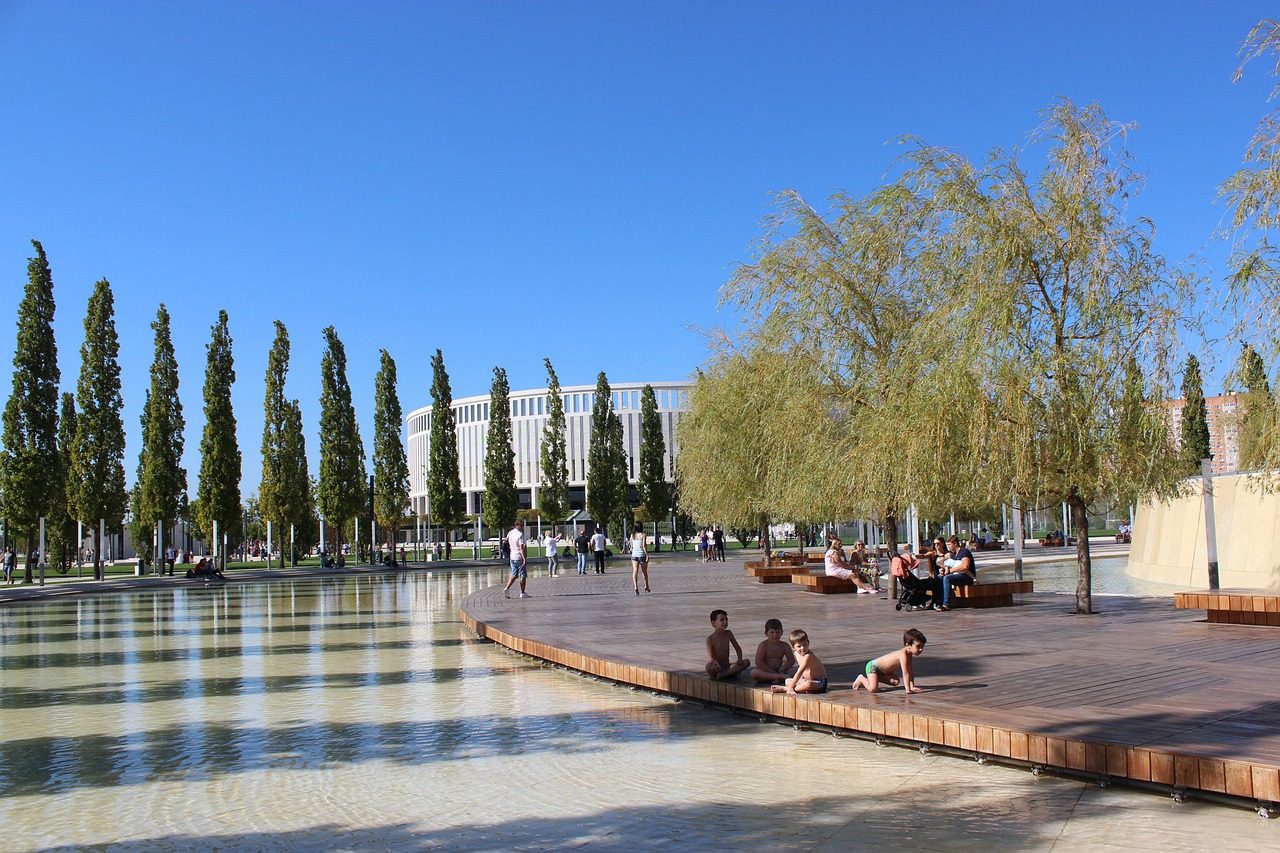 赛的赛事管 赛的赛事管