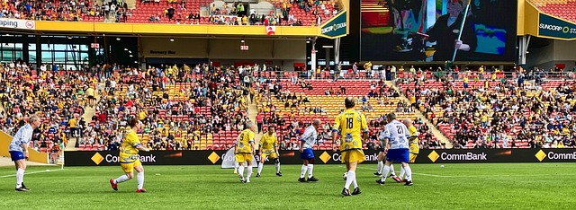 关键作用 关键作用