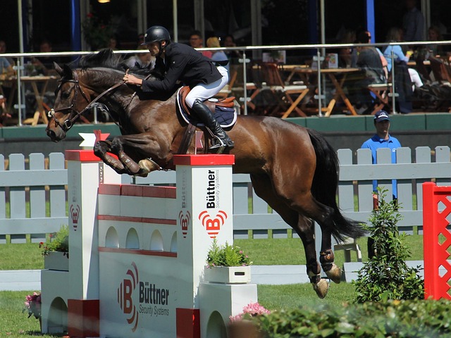 王哲林第一 王哲林第一