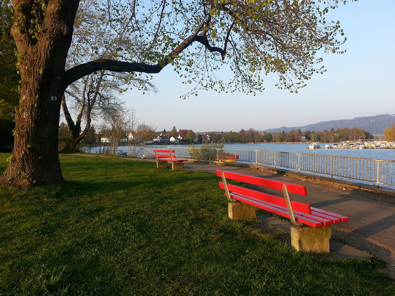 激烈的市场 激烈的市场