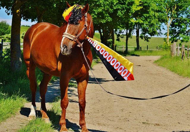 个人受益匪 个人受益匪