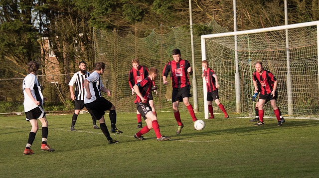 场区域提供 场区域提供