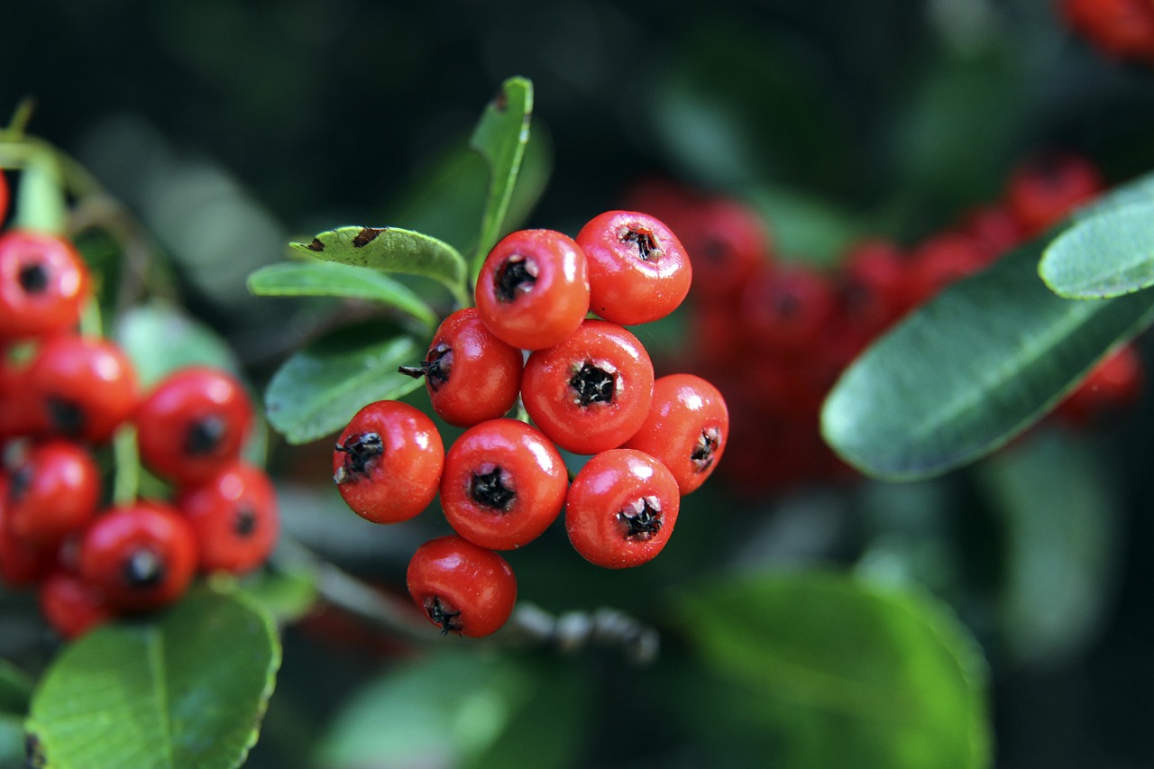 的奖金傲视 的奖金傲视