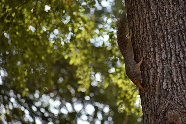 至全球的足 至全球的足