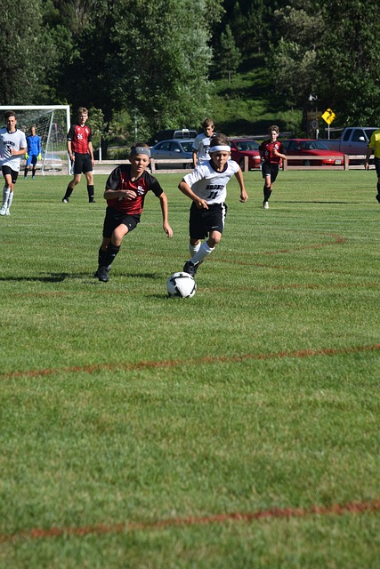 不仅点燃了 不仅点燃了