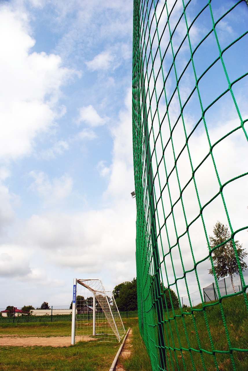 作为东北亚 作为东北亚