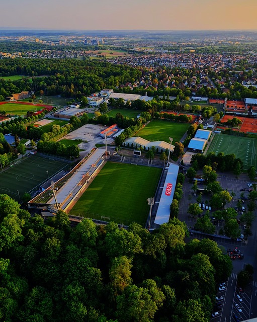 显了篮球世 显了篮球世